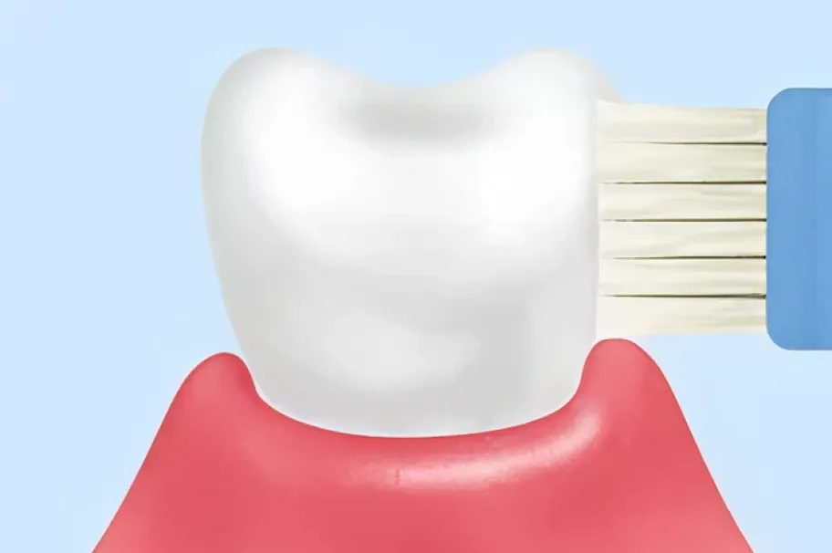 正しい歯ブラシの使い方を覚えましょう