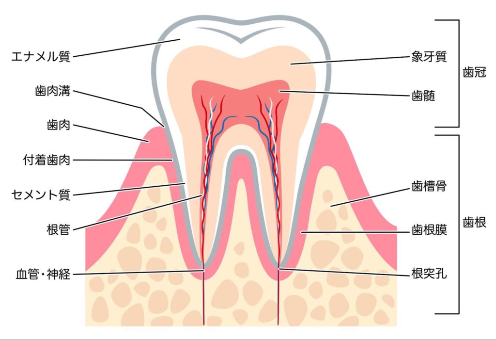 知覚過敏 ずっと痛い